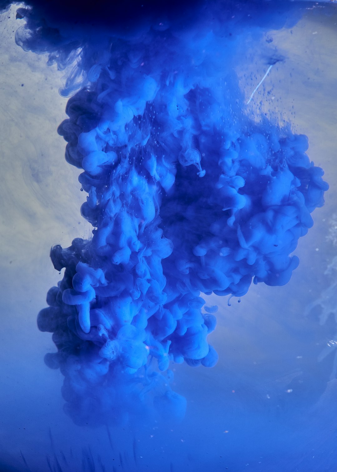a-close-up-of-a-jellyfish-zrgtu5viwn8