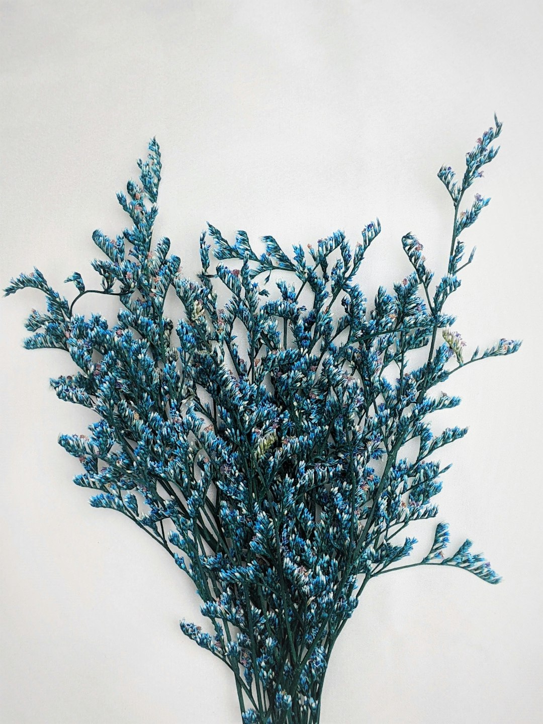 Dried flowers on silk
